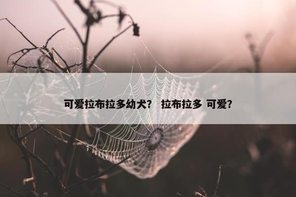 可爱拉布拉多幼犬？ 拉布拉多 可爱？