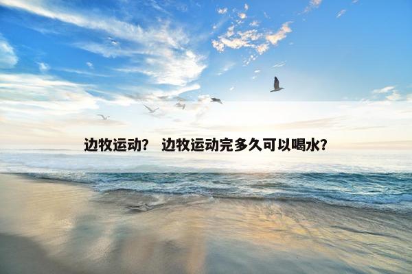 边牧运动? 边牧运动完多久可以喝水?