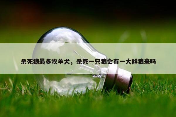 杀死狼最多牧羊犬，杀死一只狼会有一大群狼来吗