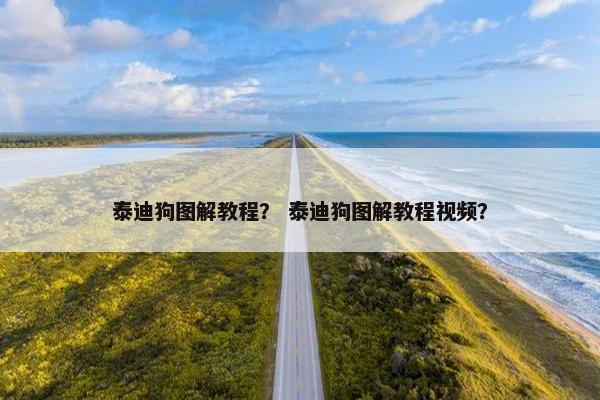 泰迪狗图解教程？ 泰迪狗图解教程视频？