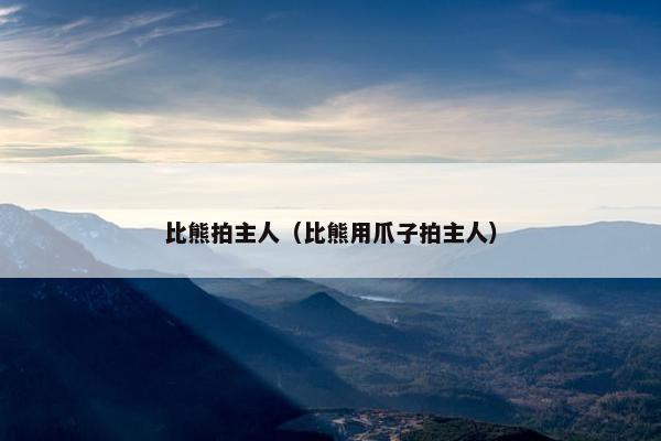 比熊拍主人(比熊用爪子拍主人) 比熊拍主人(比熊用爪子拍主人)