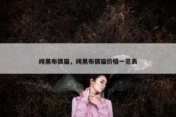 纯黑布偶猫，纯黑布偶猫价格一览表