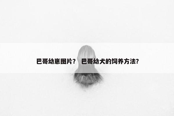 巴哥幼崽图片？ 巴哥幼犬的饲养方法？