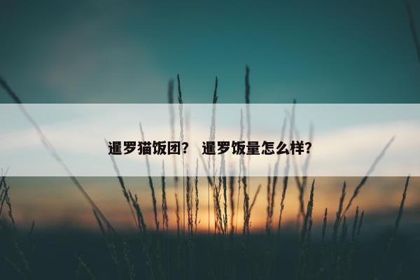 暹罗猫饭团？ 暹罗饭量怎么样？