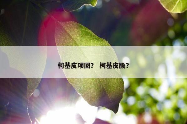 柯基皮项圈？ 柯基皮股？