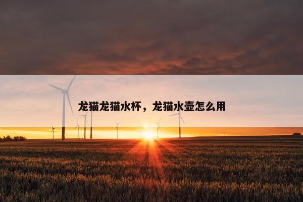 龙猫龙猫水杯，龙猫水壶怎么用