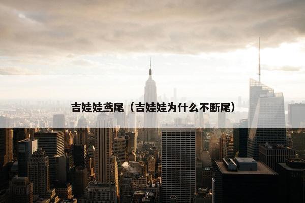 吉娃娃鸢尾（吉娃娃为什么不断尾）