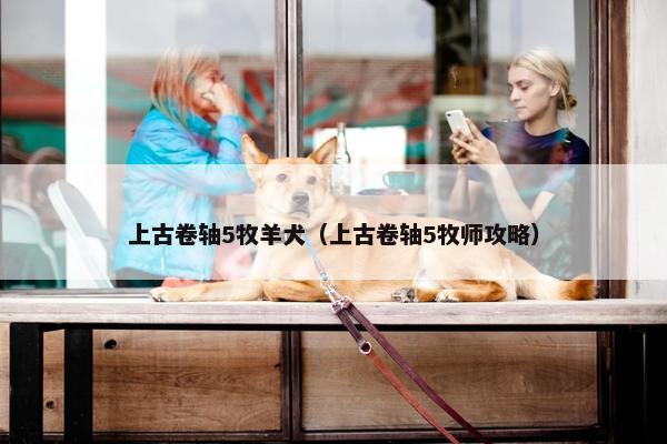 上古卷轴5牧羊犬（上古卷轴5牧师攻略）