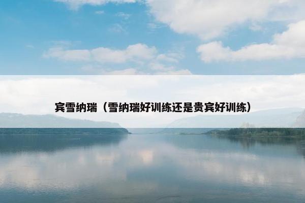 宾雪纳瑞（雪纳瑞好训练还是贵宾好训练）