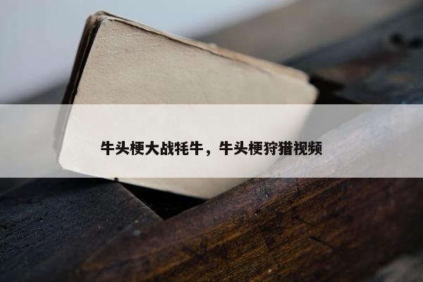 牛头梗大战牦牛，牛头梗狩猎视频