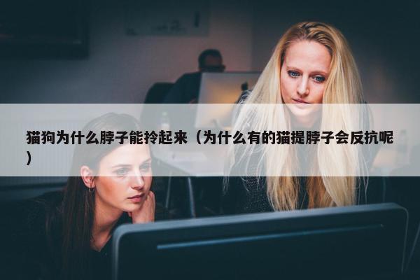 猫狗为什么脖子能拎起来（为什么有的猫提脖子会反抗呢）