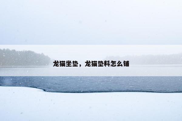 龙猫坐垫，龙猫垫料怎么铺