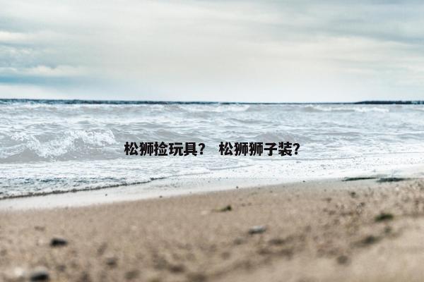 松狮捡玩具？ 松狮狮子装？