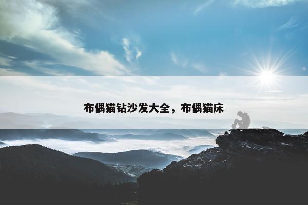 布偶猫钻沙发大全，布偶猫床