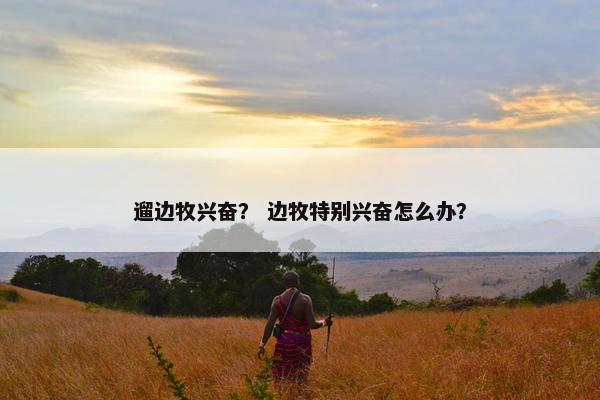 遛边牧兴奋? 边牧特别兴奋怎么办?