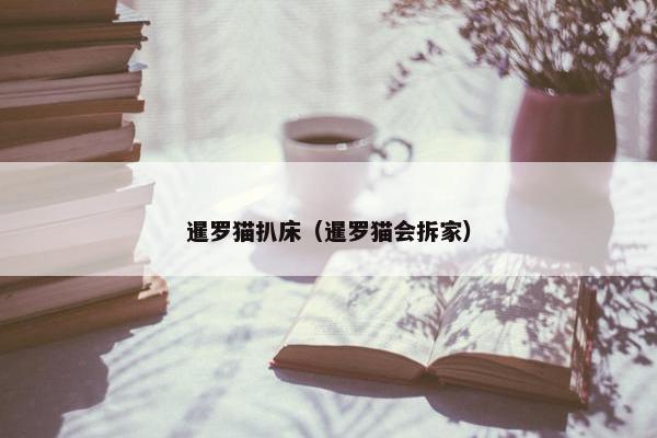 暹罗猫扒床（暹罗猫会拆家）