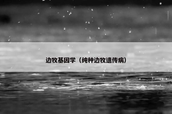 边牧基因学（纯种边牧遗传病）