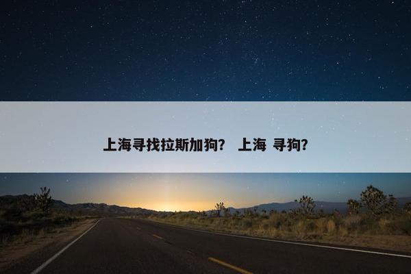 上海寻找拉斯加狗？ 上海 寻狗？