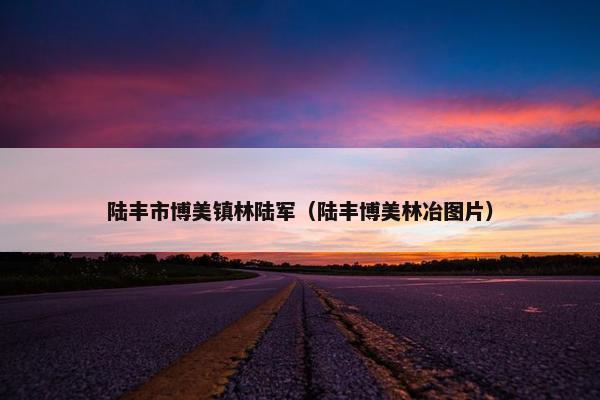 陆丰市博美镇林陆军（陆丰博美林冶图片）