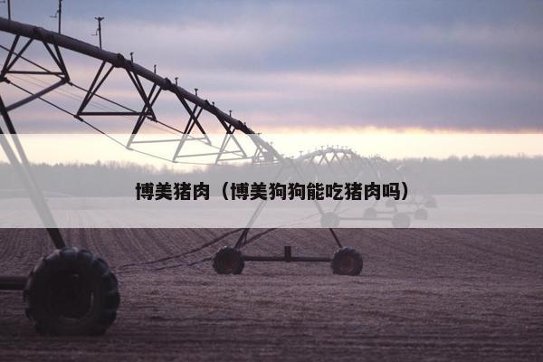 博美猪肉（博美狗狗能吃猪肉吗）
