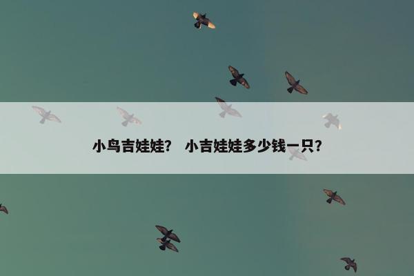 小鸟吉娃娃？ 小吉娃娃多少钱一只？