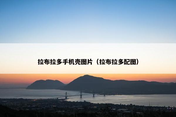 拉布拉多手机壳图片（拉布拉多配图）