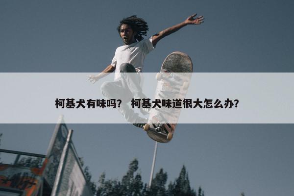 柯基犬有味吗？ 柯基犬味道很大怎么办？