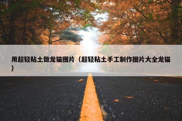 用超轻粘土做龙猫图片(超轻粘土手工制作图片大全龙猫)