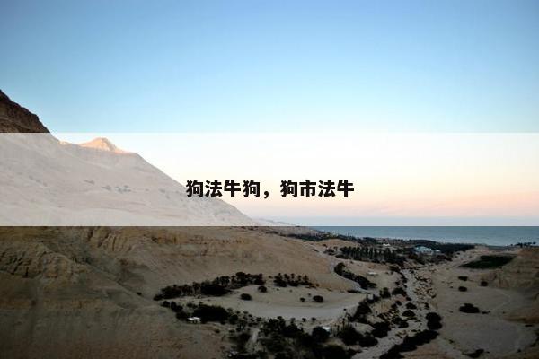 狗法牛狗，狗市法牛