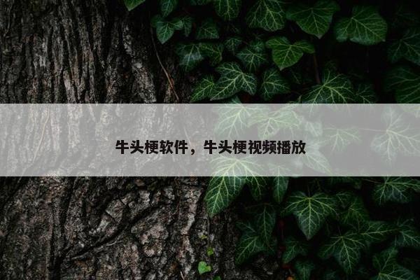 牛头梗软件,牛头梗视频播放