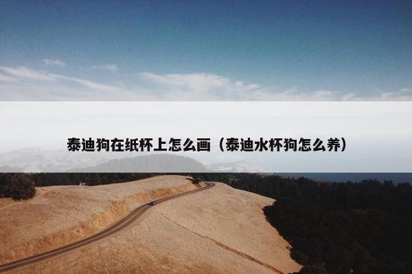 泰迪狗在纸杯上怎么画（泰迪水杯狗怎么养）