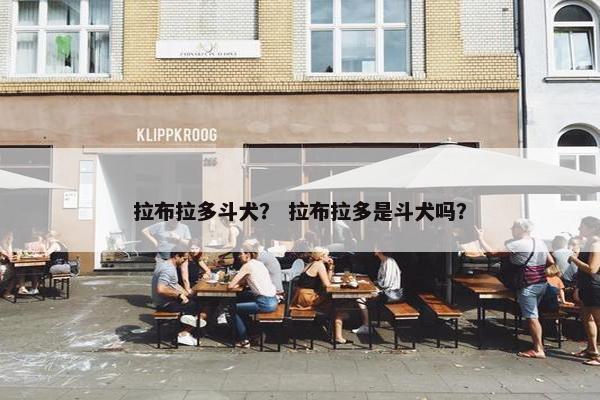 拉布拉多斗犬？ 拉布拉多是斗犬吗？
