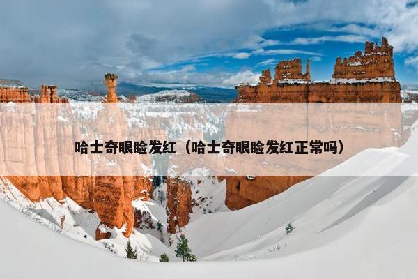 哈士奇眼睑发红（哈士奇眼睑发红正常吗）