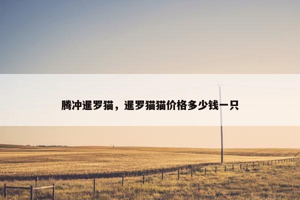 腾冲暹罗猫，暹罗猫猫价格多少钱一只