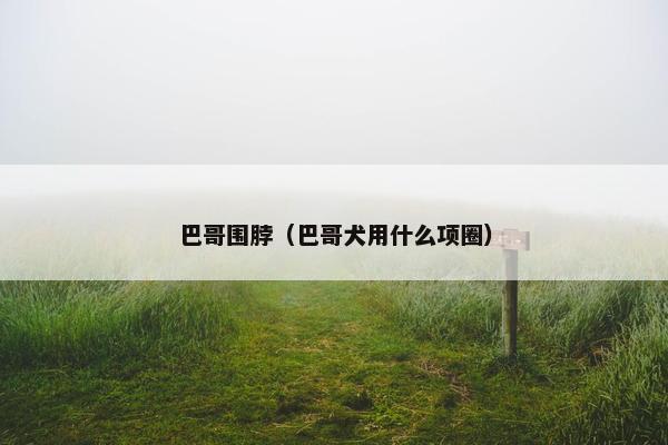 巴哥围脖（巴哥犬用什么项圈）