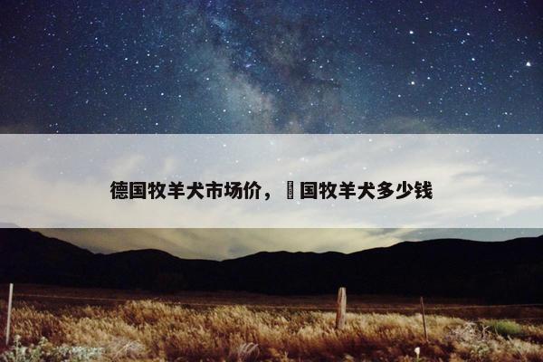 德国牧羊犬市场价，徳国牧羊犬多少钱