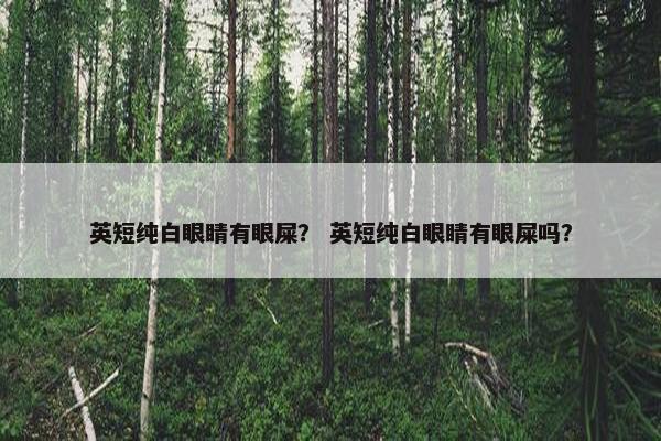 英短纯白眼睛有眼屎？ 英短纯白眼睛有眼屎吗？