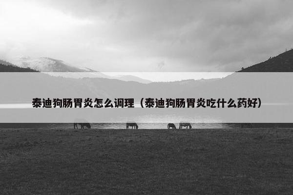 泰迪狗肠胃炎怎么调理（泰迪狗肠胃炎吃什么药好）