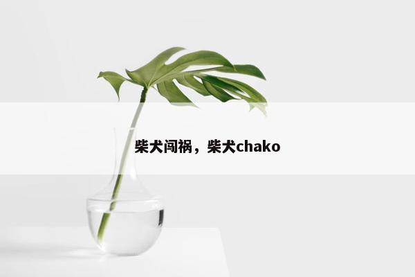 柴犬闯祸，柴犬chako