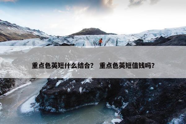 重点色英短什么结合？ 重点色英短值钱吗？