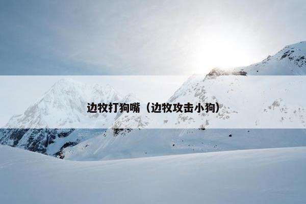 边牧打狗嘴（边牧攻击小狗）