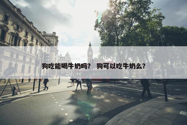 狗吃能喝牛奶吗? 狗可以吃牛奶么? 狗吃能喝牛奶吗? 狗可以吃牛奶么?