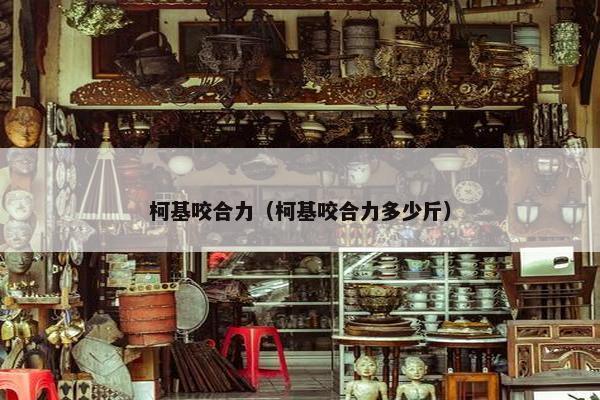 柯基咬合力(柯基咬合力多少斤)