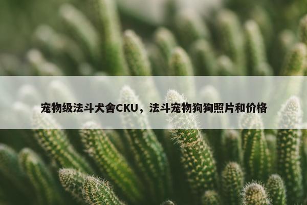 宠物级法斗犬舍CKU，法斗宠物狗狗照片和价格