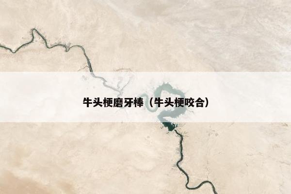 牛头梗磨牙棒（牛头梗咬合）