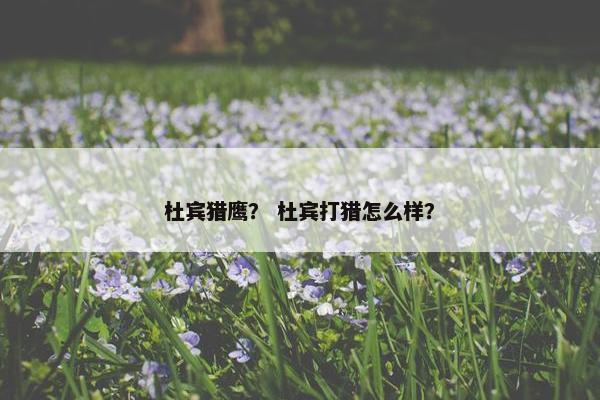 杜宾猎鹰？ 杜宾打猎怎么样？