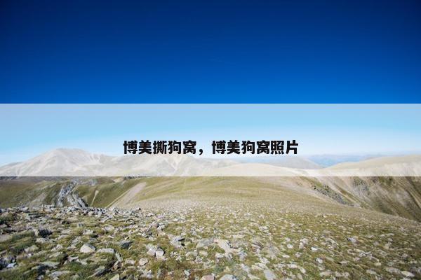 博美撕狗窝，博美狗窝照片