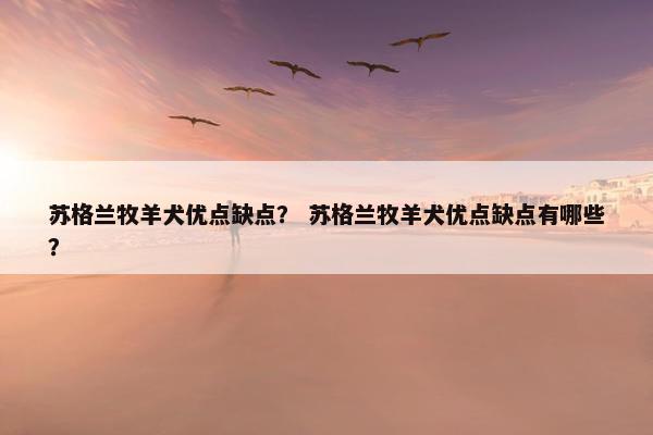 苏格兰牧羊犬优点缺点? 苏格兰牧羊犬优点缺点有哪些?