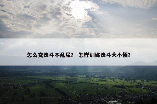 怎么交法斗不乱尿？ 怎样训练法斗大小便？