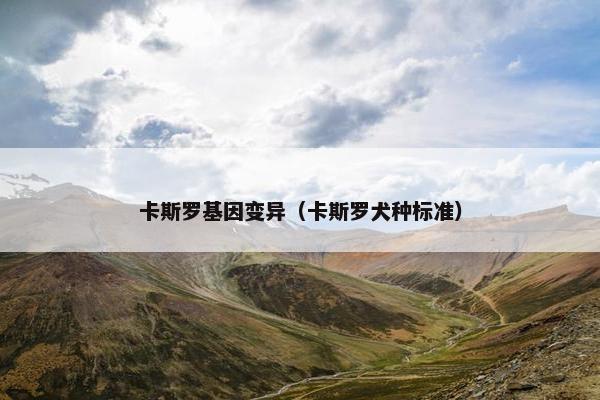 卡斯罗基因变异(卡斯罗犬种标准) 卡斯罗基因变异(卡斯罗犬种标准)